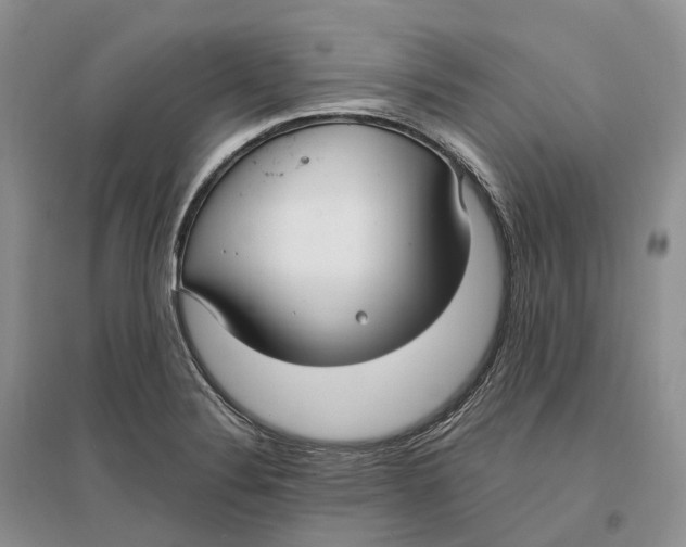 X0000096721324200802261644