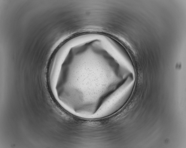 X0000096721325200802261644