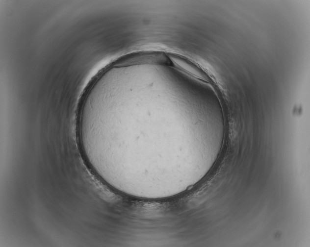 X0000096721326200802261644