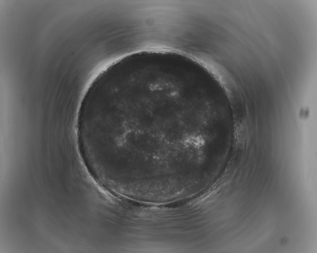 X0000096721327200802261644