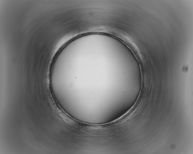 X0000096721328200802261644