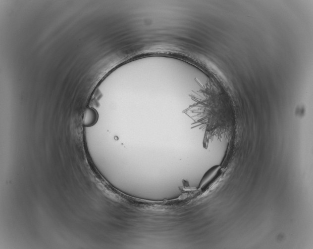 X0000096721329200802261644