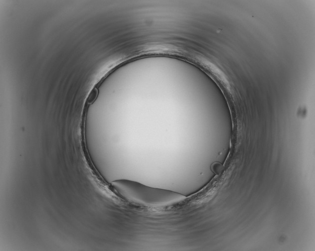 X0000096721330200802261644