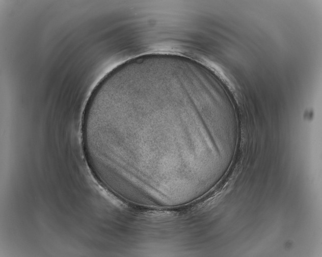 X0000096721331200802261644