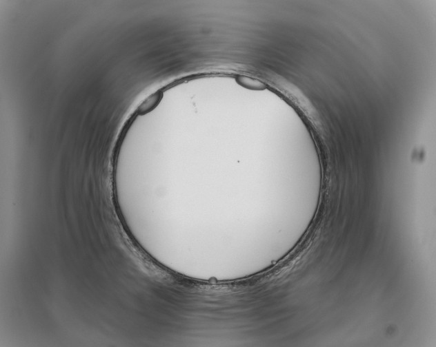 X0000096721332200802261644