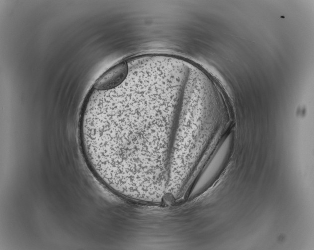 X0000096721333200802261644