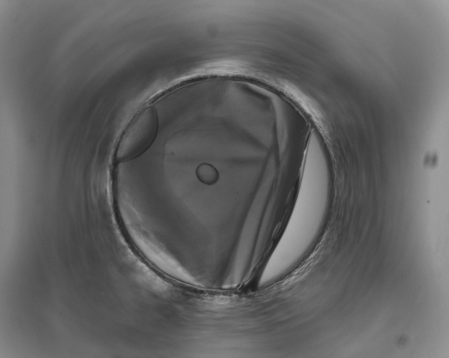 X0000096721334200802261644