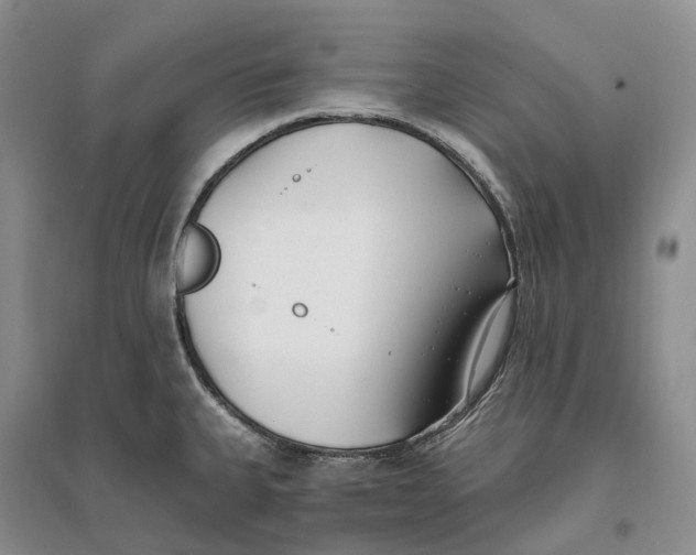 X0000096721335200802261644