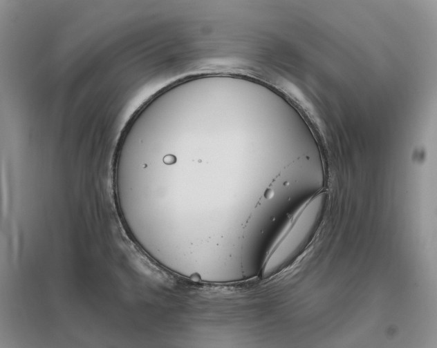 X0000096721336200802261644