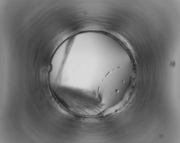 X0000096721337200802261644