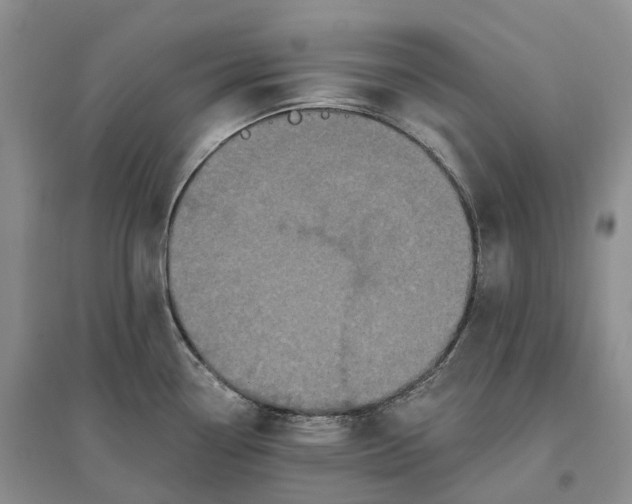 X0000096721338200802261644