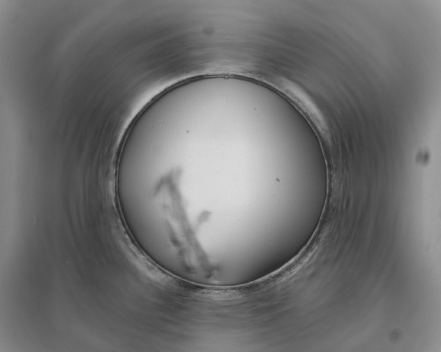 X0000096721340200802261644