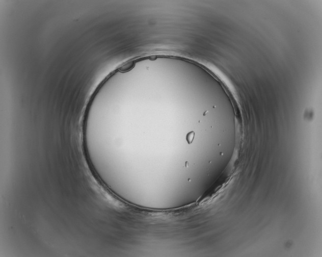 X0000096721341200802261644