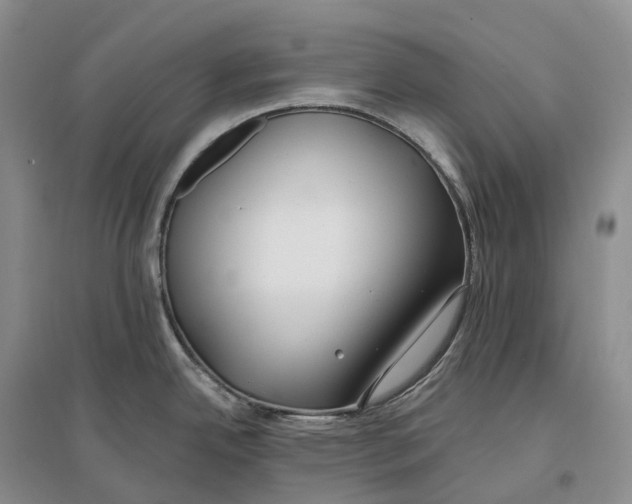 X0000096721342200802261644