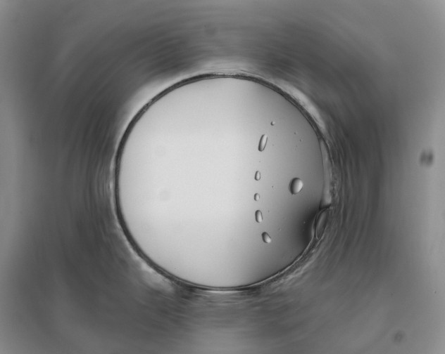 X0000096721343200802261644