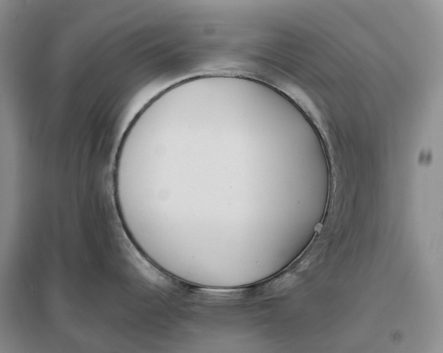 X0000096721344200802261644