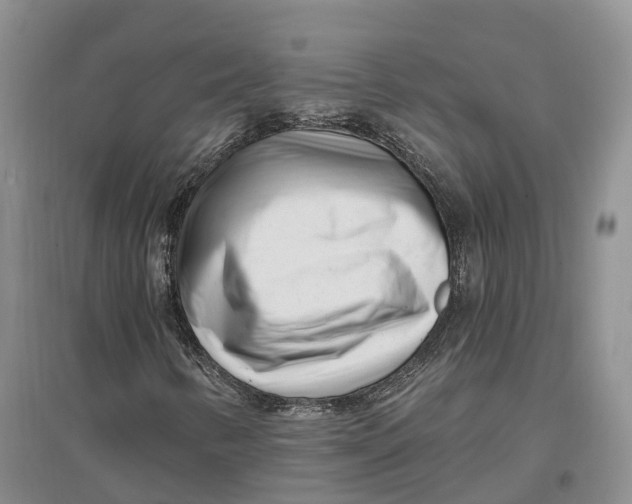 X0000096721346200802261643