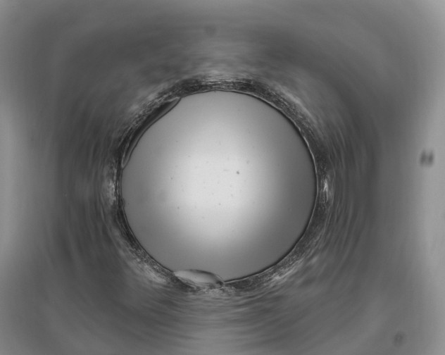 X0000096721348200802261643