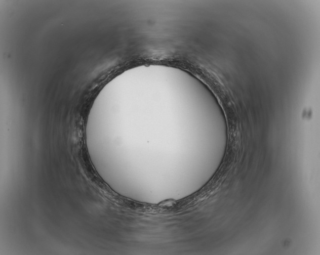 X0000096721349200802261643