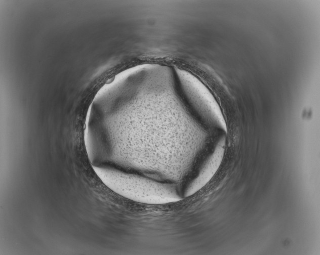 X0000096721350200802261643