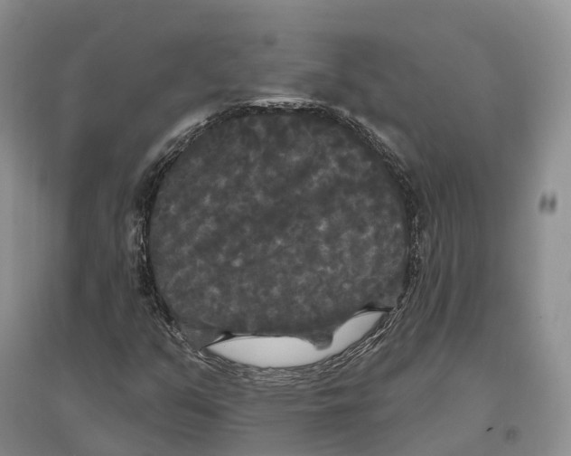 X0000096721351200802261643