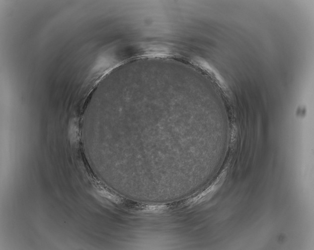 X0000096721353200802261643