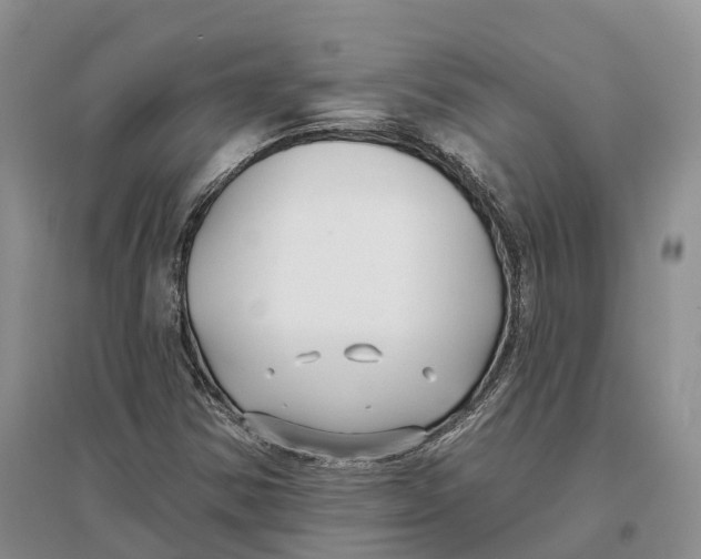 X0000096721354200802261643