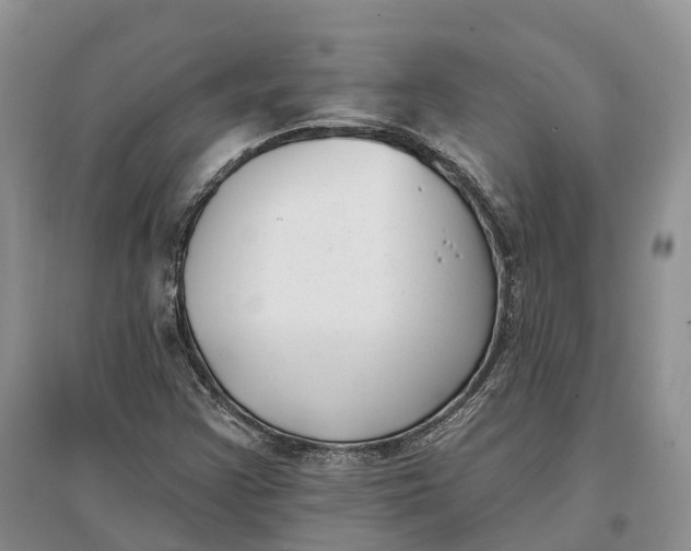 X0000096721355200802261643