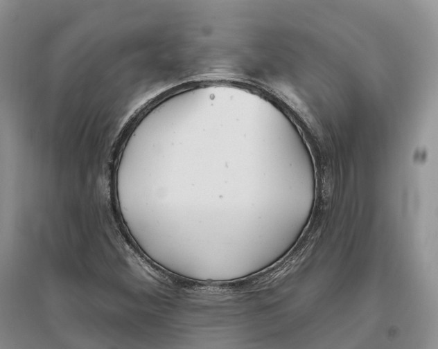 X0000096721356200802261643