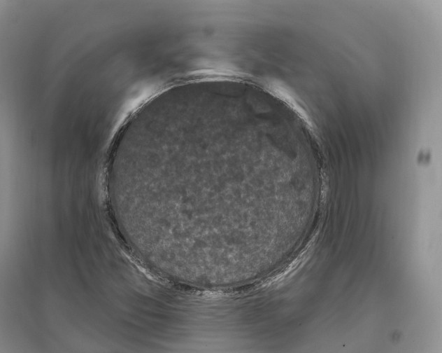 X0000096721357200802261643