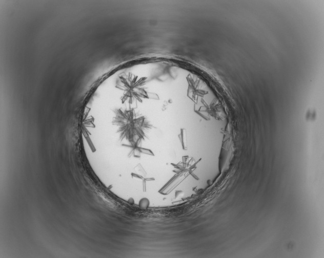 X0000096721359200802261643