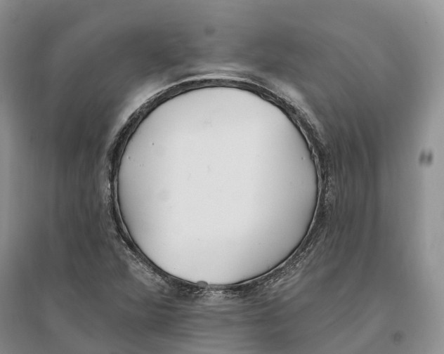 X0000096721360200802261643