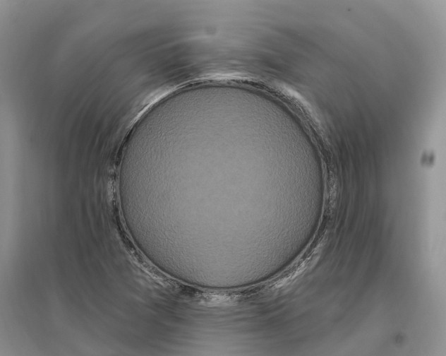 X0000096721361200802261643