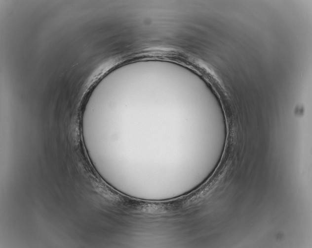 X0000096721362200802261643