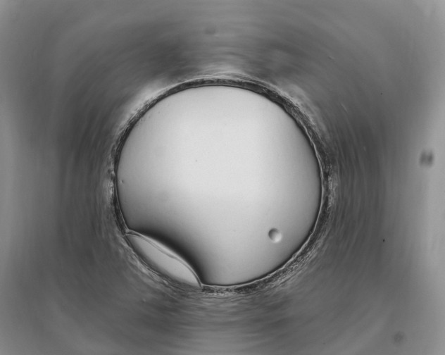 X0000096721363200802261643