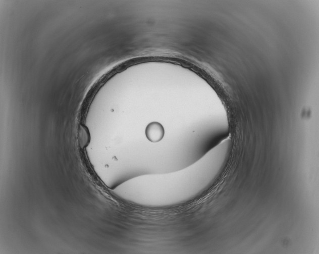 X0000096721364200802261643