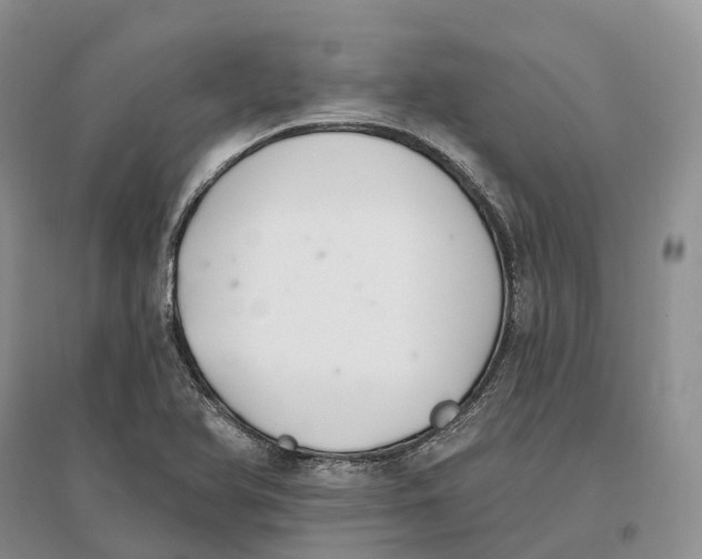 X0000096721366200802261643