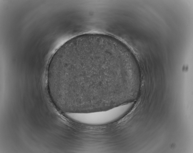 X0000096721367200802261643