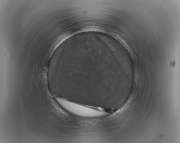 X0000096721369200802261643