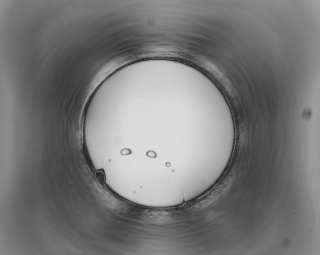 X0000096721370200802261643