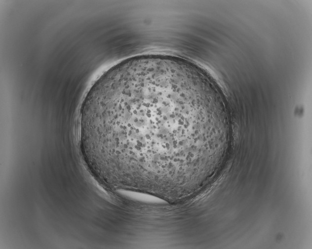 X0000096721371200802261643