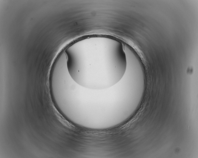 X0000096721372200802261643