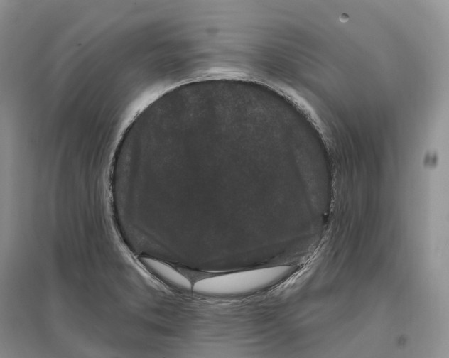 X0000096721373200802261643