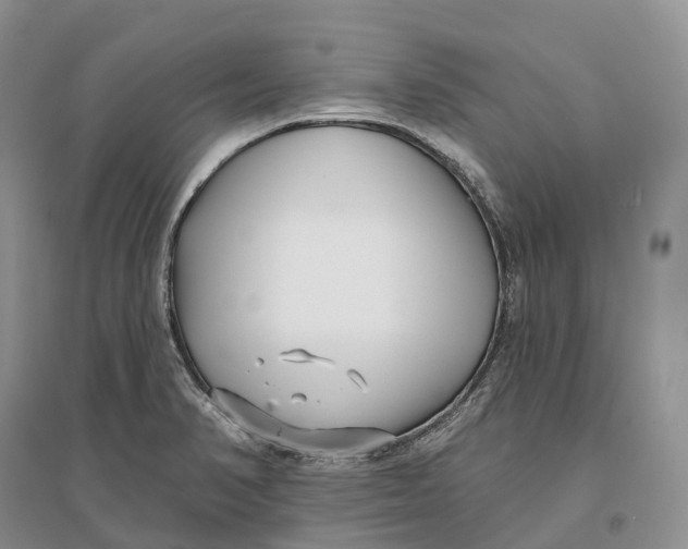 X0000096721374200802261643