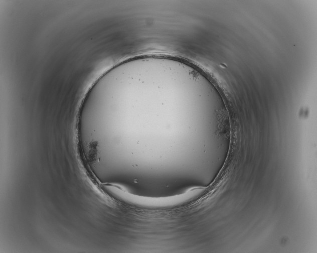 X0000096721375200802261643