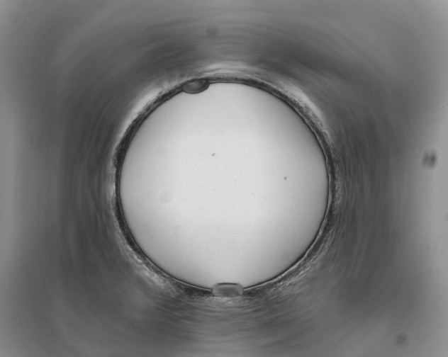 X0000096721376200802261643