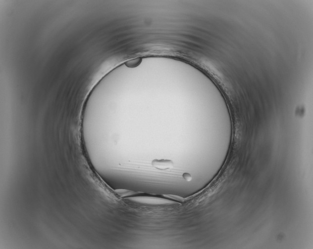 X0000096721378200802261643