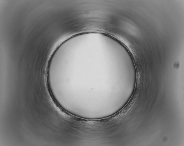 X0000096721379200802261643