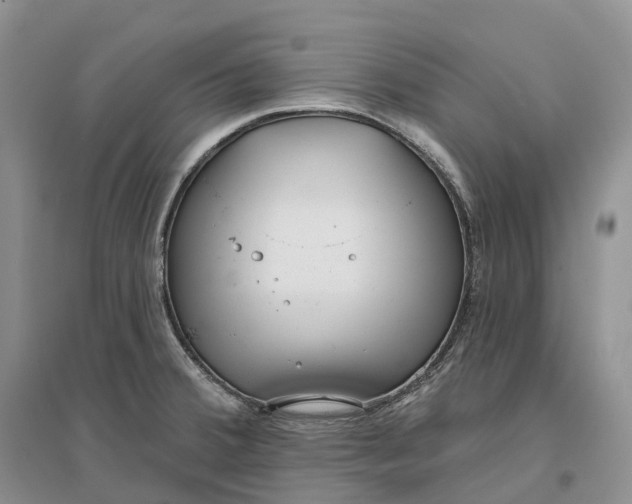 X0000096721380200802261643