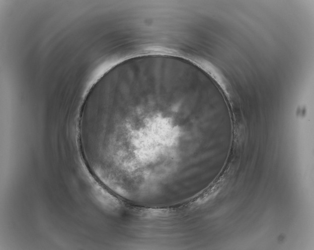 X0000096721381200802261643